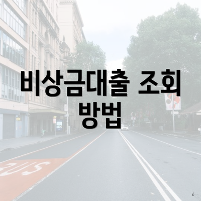 비상금대출 조회 방법