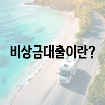 비상금대출이란?