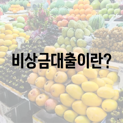 비상금대출이란?