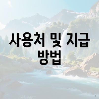 사용처 및 지급 방법