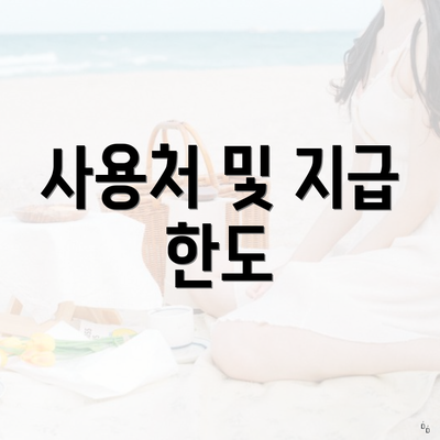 사용처 및 지급 한도