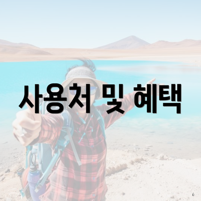 사용처 및 혜택