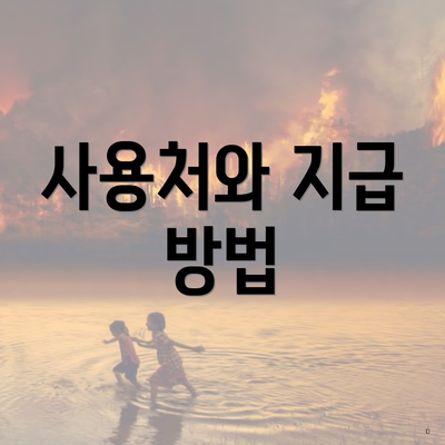 사용처와 지급 방법