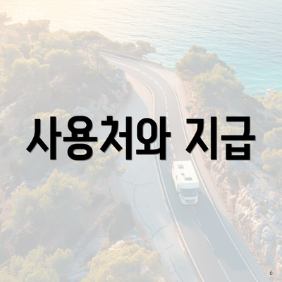사용처와 지급