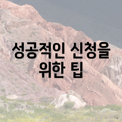 성공적인 신청을 위한 팁