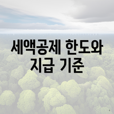 세액공제 한도와 지급 기준
