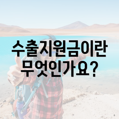 수출지원금이란 무엇인가요?