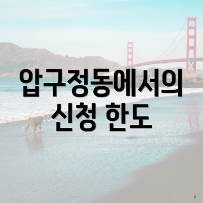 압구정동에서의 신청 한도