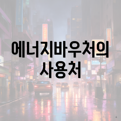 에너지바우처의 사용처