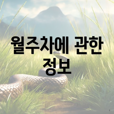 월주차에 관한 정보