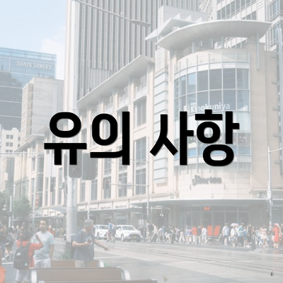 유의 사항