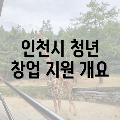 인천시 청년 창업 지원 개요