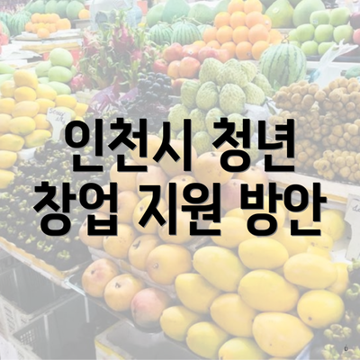인천시 청년 창업 지원 방안