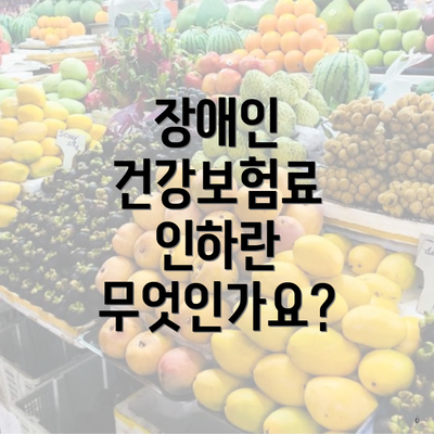 장애인 건강보험료 인하란 무엇인가요?