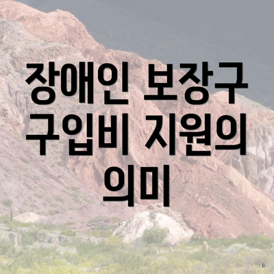 장애인 보장구 구입비 지원의 의미