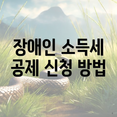 장애인 소득세 공제 신청 방법