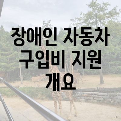 장애인 자동차 구입비 지원 개요