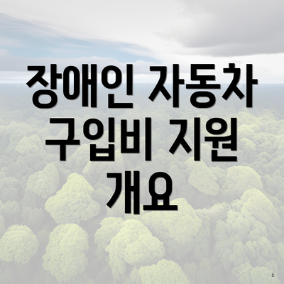 장애인 자동차 구입비 지원 개요