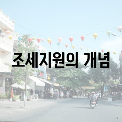 조세지원의 개념