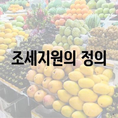 조세지원의 정의