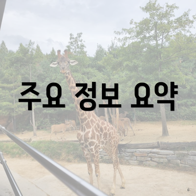 주요 정보 요약