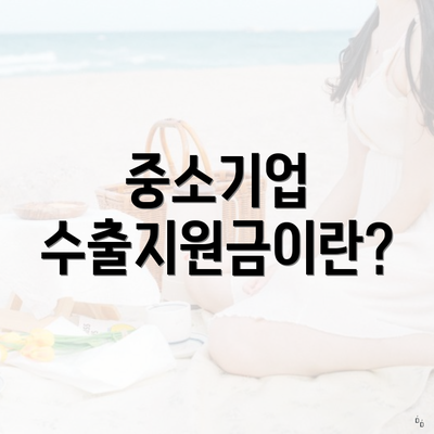 중소기업 수출지원금이란?