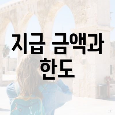 지급 금액과 한도