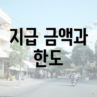 지급 금액과 한도