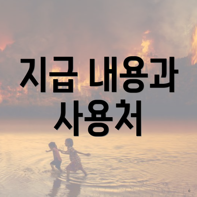 지급 내용과 사용처