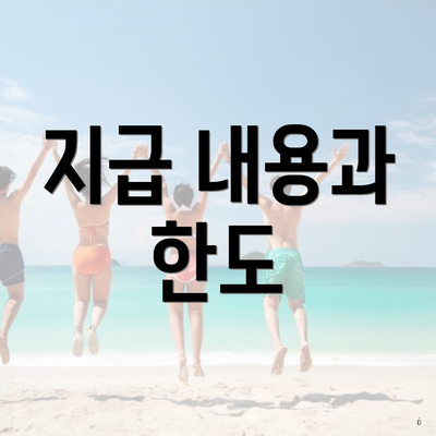 지급 내용과 한도
