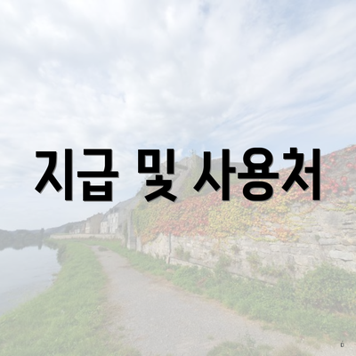 지급 및 사용처
