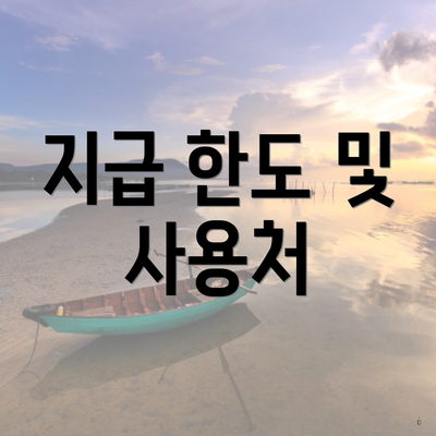 지급 한도 및 사용처
