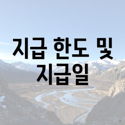 지급 한도 및 지급일