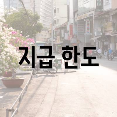 지급 한도
