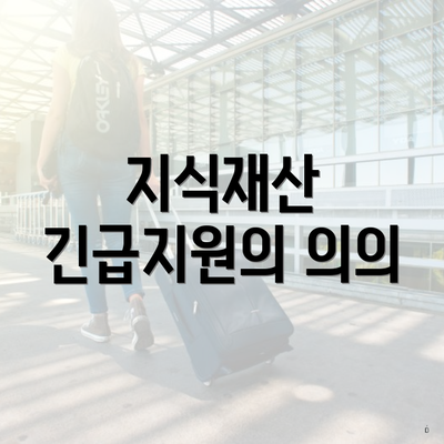 지식재산 긴급지원의 의의