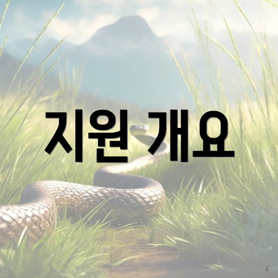 지원 개요