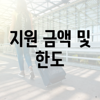 지원 금액 및 한도