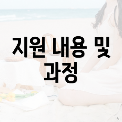 지원 내용 및 과정
