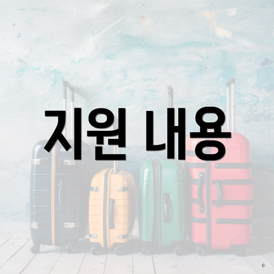 지원 내용