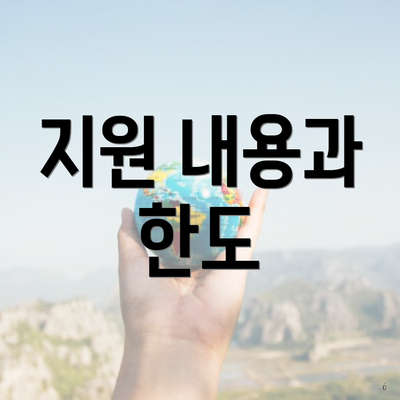 지원 내용과 한도