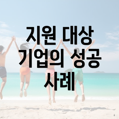 지원 대상 기업의 성공 사례