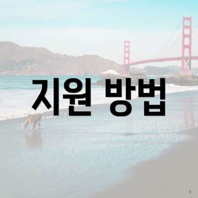 지원 방법