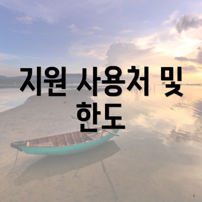 지원 사용처 및 한도