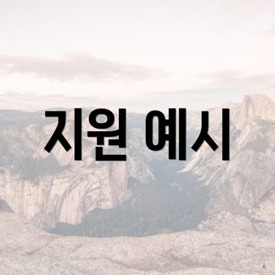 지원 예시