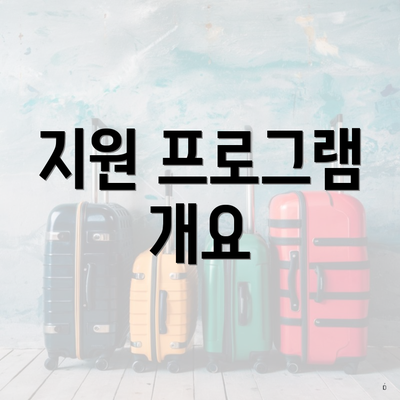 지원 프로그램 개요