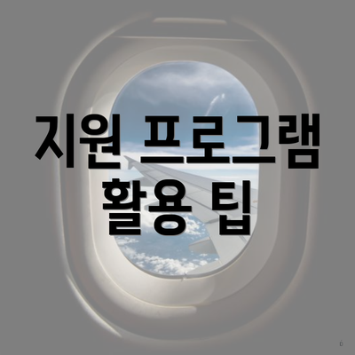 지원 프로그램 활용 팁