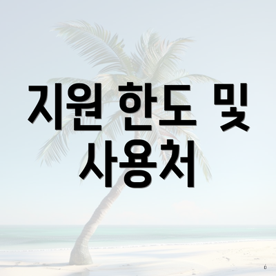 지원 한도 및 사용처