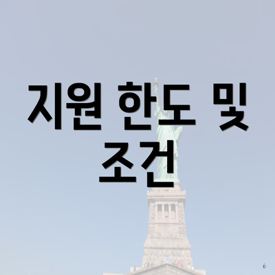 지원 한도 및 조건