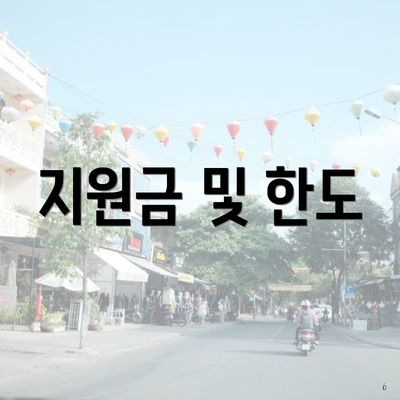 지원금 및 한도