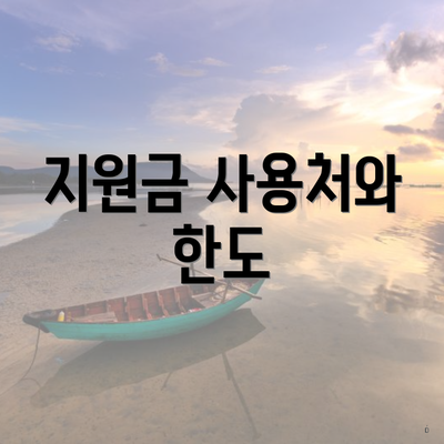 지원금 사용처와 한도